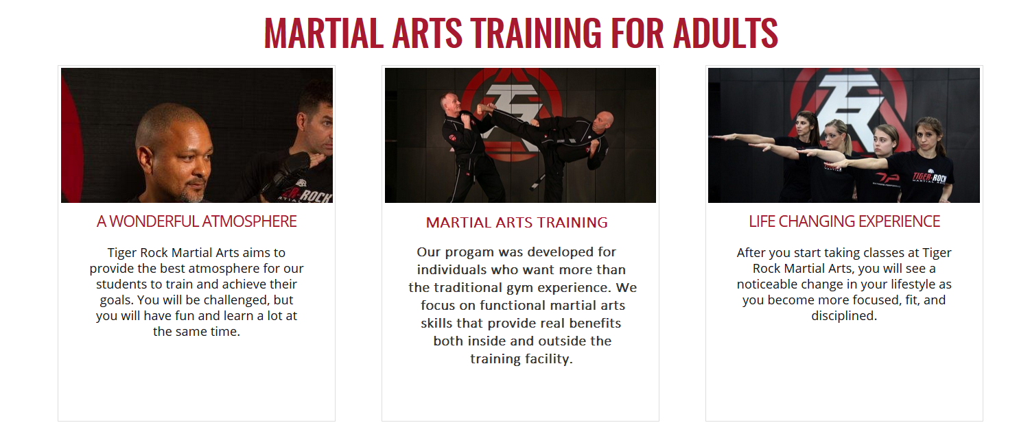martial arts for adults near me, adult karate near me, adult training